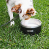 FCS Stainless Steel Dog Bowl